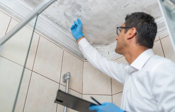 اصلاح تسريبات الاسطح
